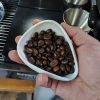 ginee_20241216213354980_1713339842.jpg One Two Cups Coffee Dosing Tray Mangkok Takar Biji Kopi Keramik - OX40