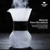 One Two Cups Coffee Server Chemex Drip Pour Over Borosilicate Glass - SE111