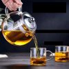One Two Cups Teko Teh Kaca Saringan Tahan Panas Infuser Teapot 650ml - BR6